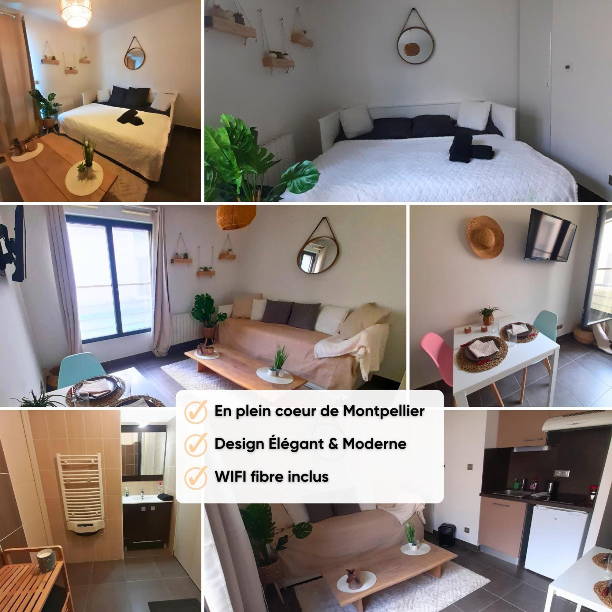 Cosy Boheme Au Coeur De Appartement Montpellier